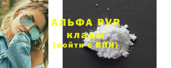 стафф Алексин
