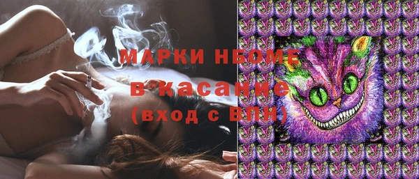стафф Алексин