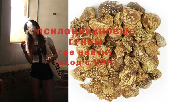 мяу мяу мука Алзамай
