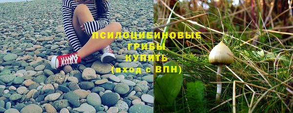 амфетамин Алексеевка